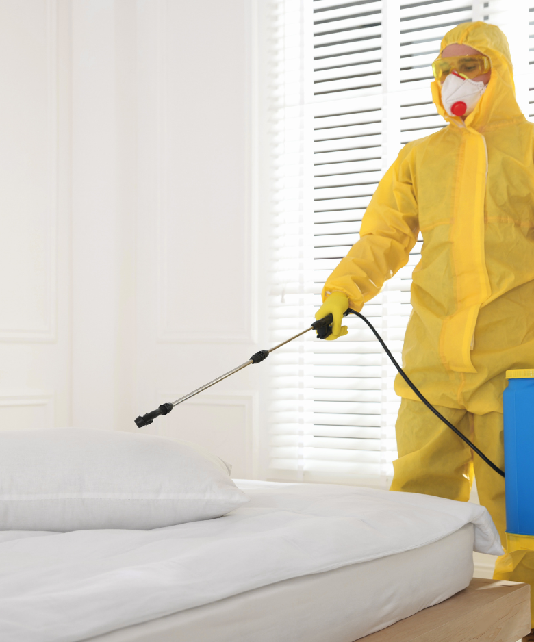 Professional Pest Control Team in Castambul